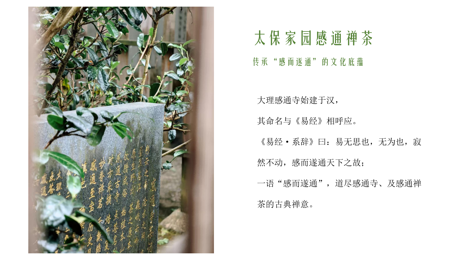 太保家园大理国际乐养社区--感通禅茶产品推介(家园系列)(2)_03 - 副本.png